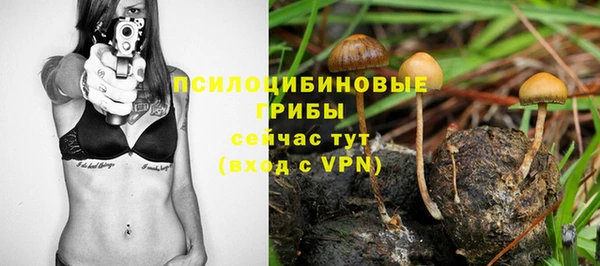 прущий лед Аркадак