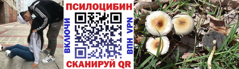 Псилоцибиновые грибы Magic Shrooms  сколько стоит  omg как войти  Краснокаменск 